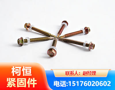 遂宁六角钻尾丝